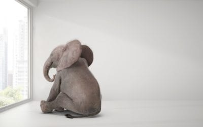 Scoping and Estimation of Billing Transformation Projects – The Elephant in the Room