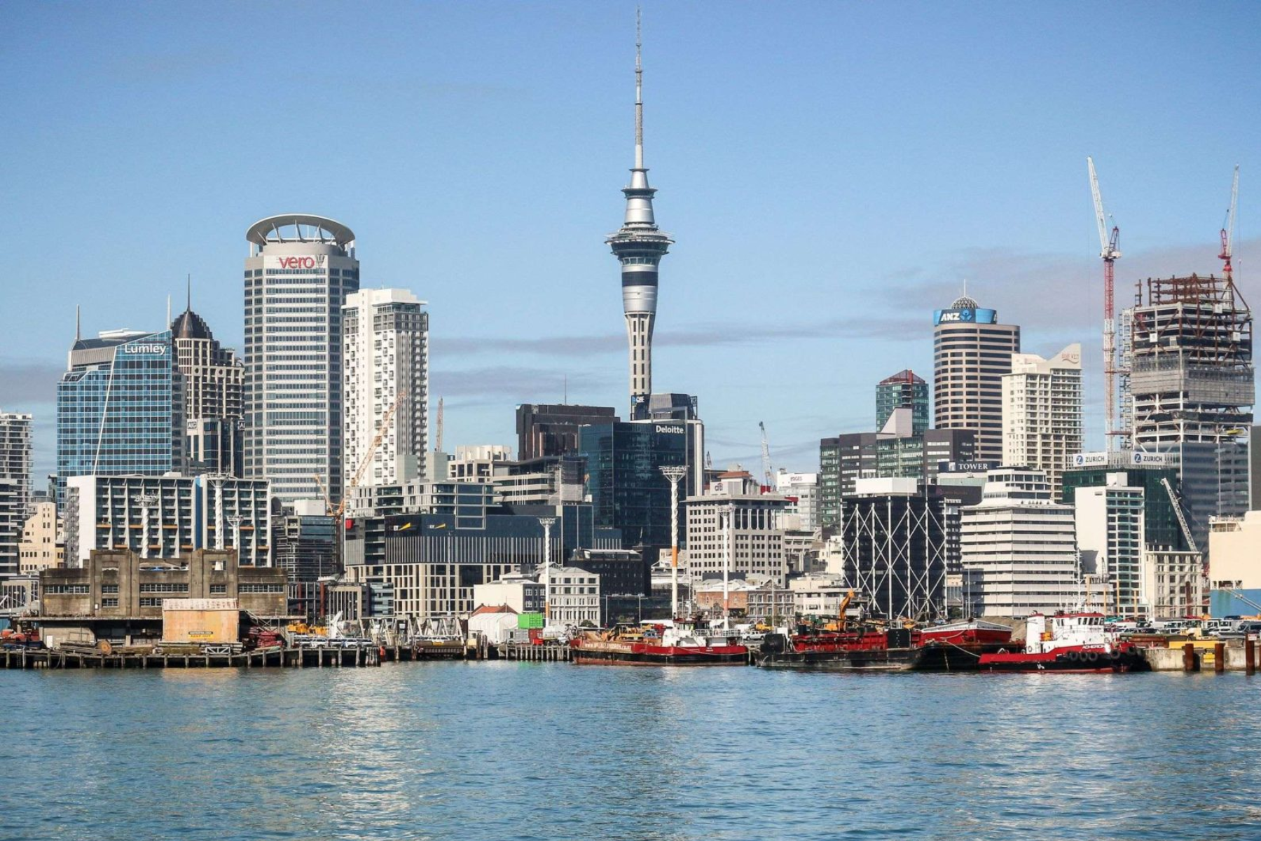 Auckland Skyline